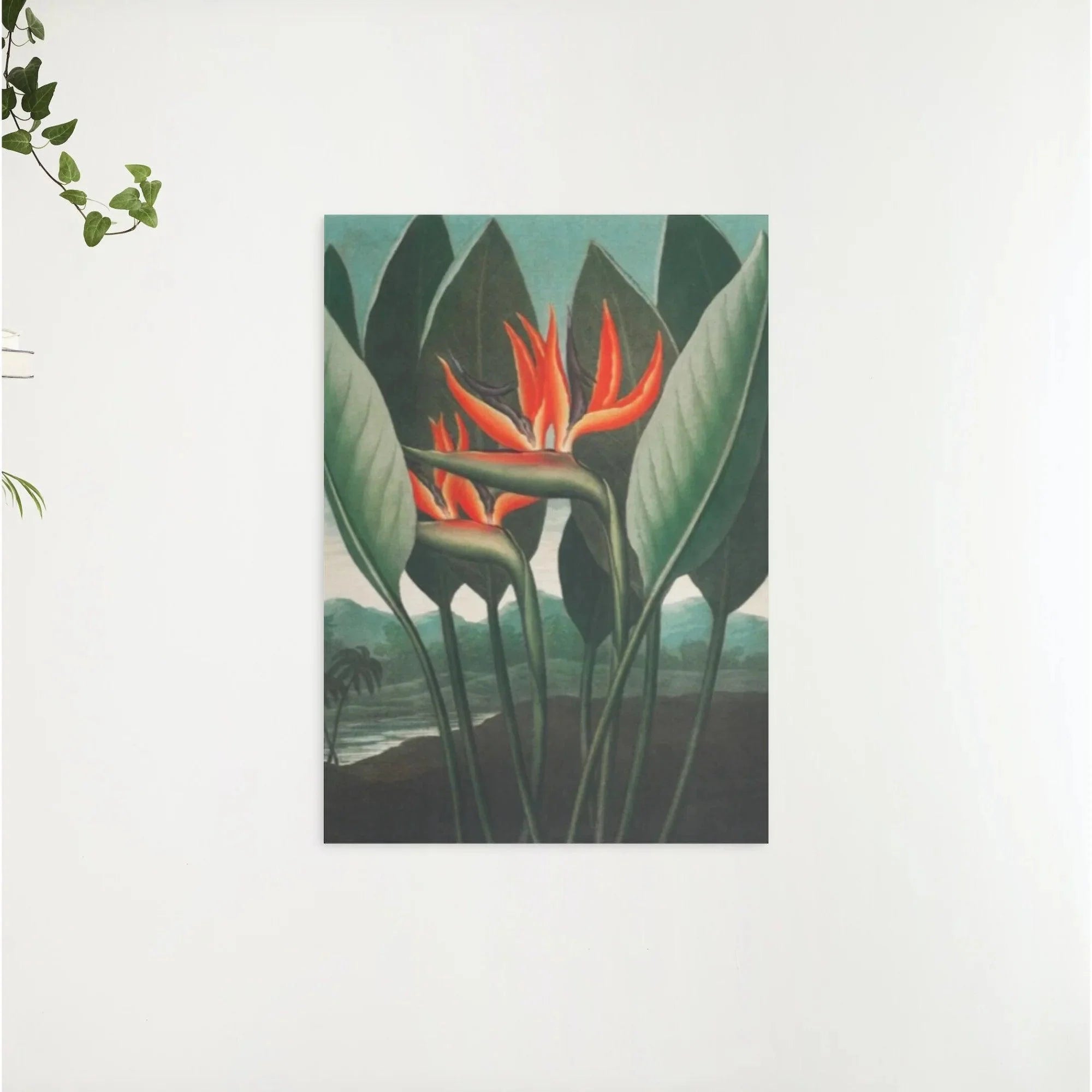 Diamond Painting - La Reine Plante - SEOS Shop ®