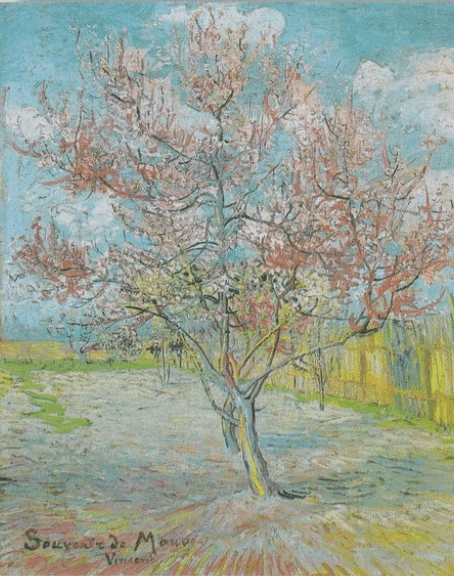 Diamond Painting Pêcher - SEOS Shop ®