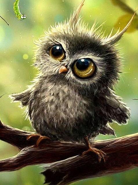 Diamond Painting Bébé Hibou - SEOS Shop ®