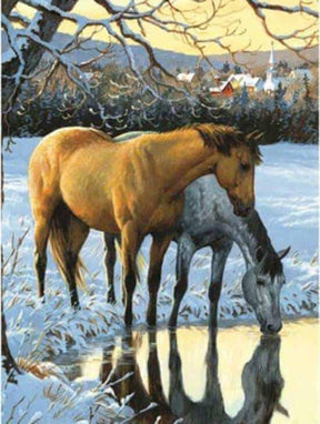 Diamond Painting Chevaux buvant de l'eau - SEOS Shop ®