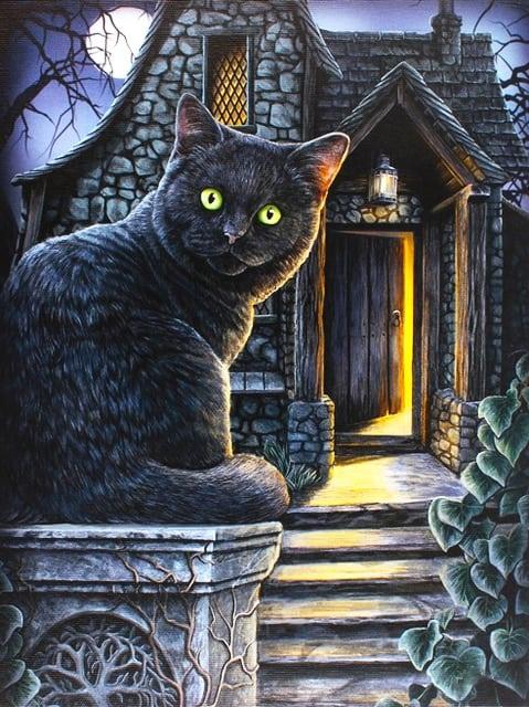 Diamond Painting Chat noir aux yeux verts - SEOS Shop ®