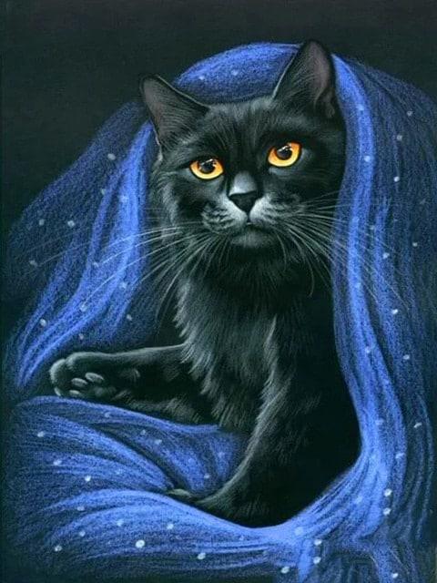 Diamond Painting Chat Noir - SEOS Shop ®