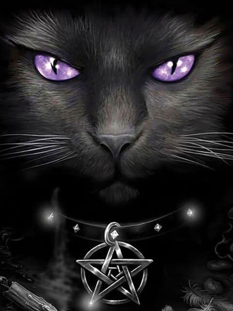 Diamond Painting Chat noir et yeux violets - SEOS Shop ®