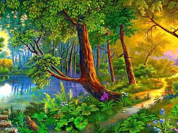 Diamond Painting Boom au bord de l'eau – SEOS Shop ®