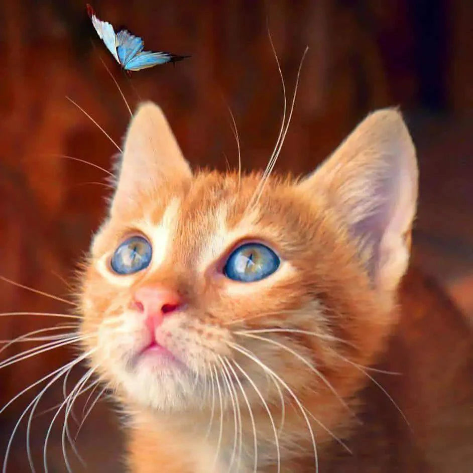 Diamond Painting - Chat Brun avec Papillon Bleu - SEOS®