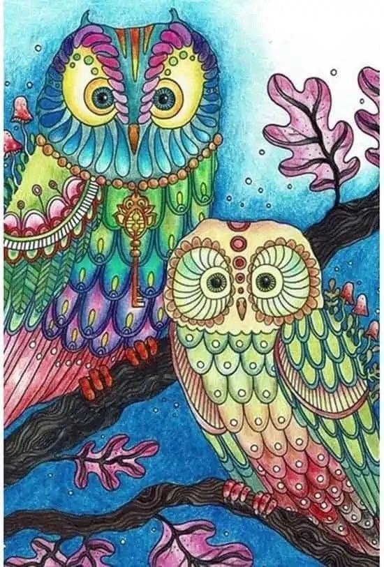 Diamond Painting - Hibou Coloré - SEOS®