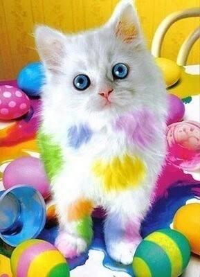 Diamond Painting - Chat Tacheté - SEOS®