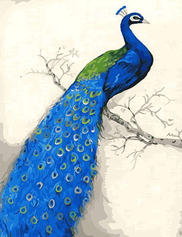 Diamond Painting - Grandiose Paon - SEOS®