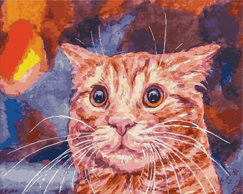 Diamond Painting - Chat Drôle - SEOS®