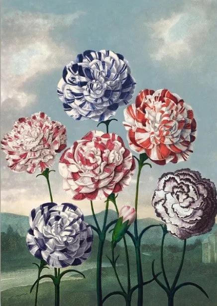 Diamond Painting - Groupe Anjers - SEOS Shop ®