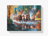 Diamond Painting Groupe chevaux dans l'eau - SEOS Shop ®