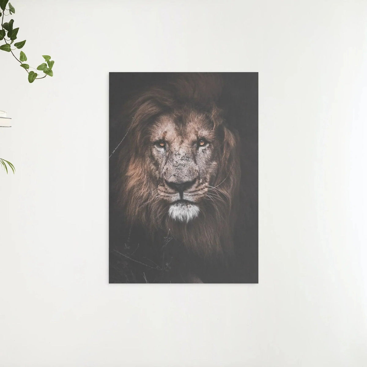 Diamond Painting Grand lion - SEOS Shop ®
