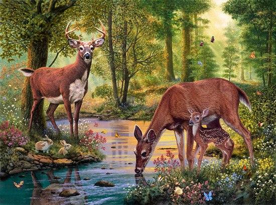 Diamond Painting Cerfs Eau Potable - SEOS Shop ®