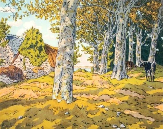 Diamond Painting - La Forêt de Hêtres - SEOS Shop ®