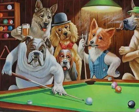 Diamond Painting Chiens Jouant Dans La Piscine - SEOS Shop ®