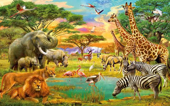Diamond Painting Animaux de la jungle – SEOS Shop ®