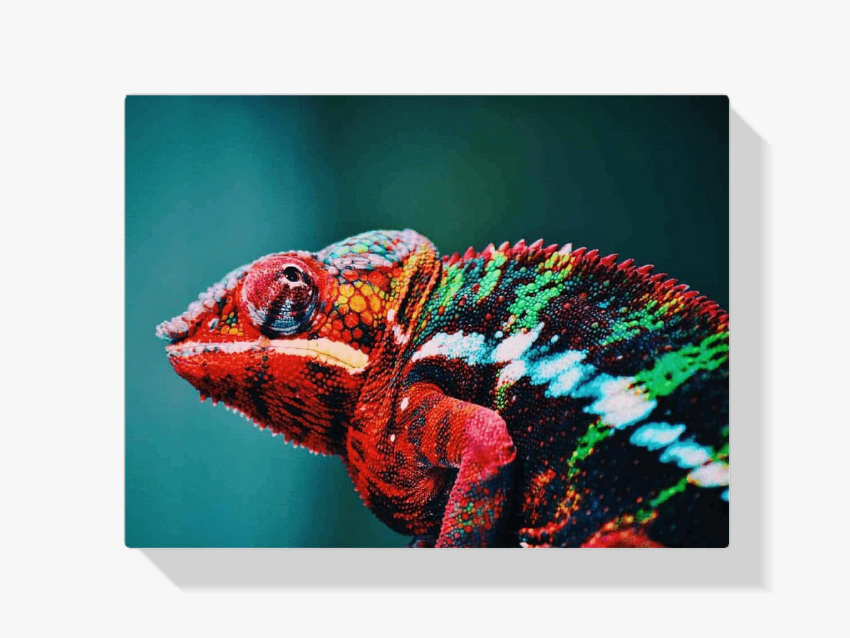 Diamond Painting Chameleon 45x30 cm – SEOS Shop ®