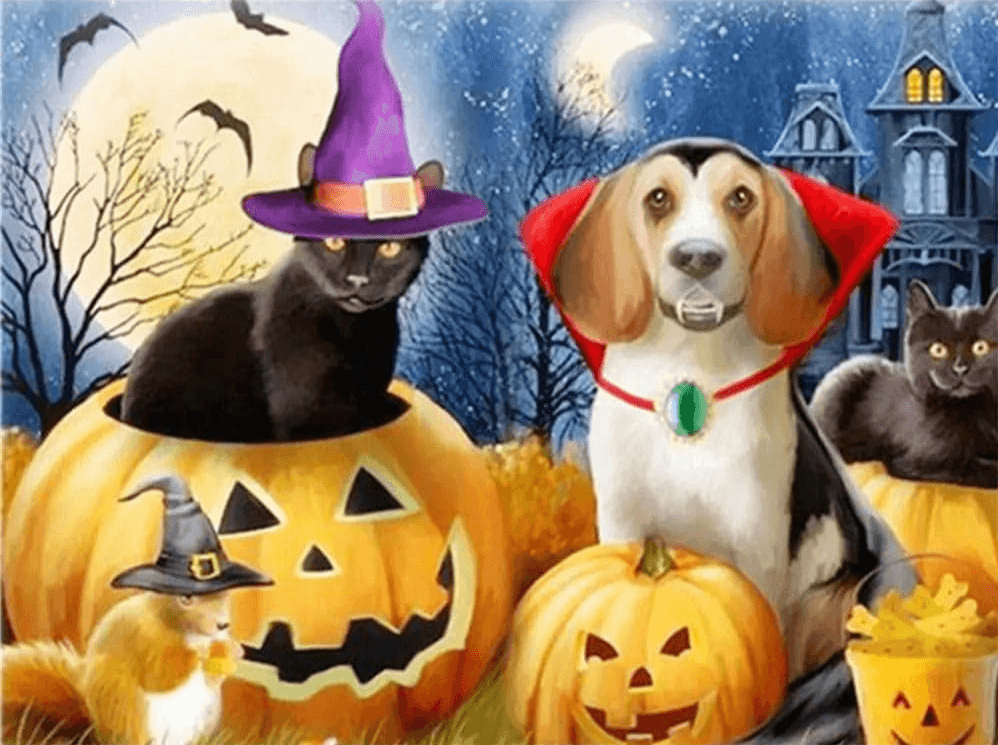 Diamond Painting Chat et Chien - SEOS Shop ®