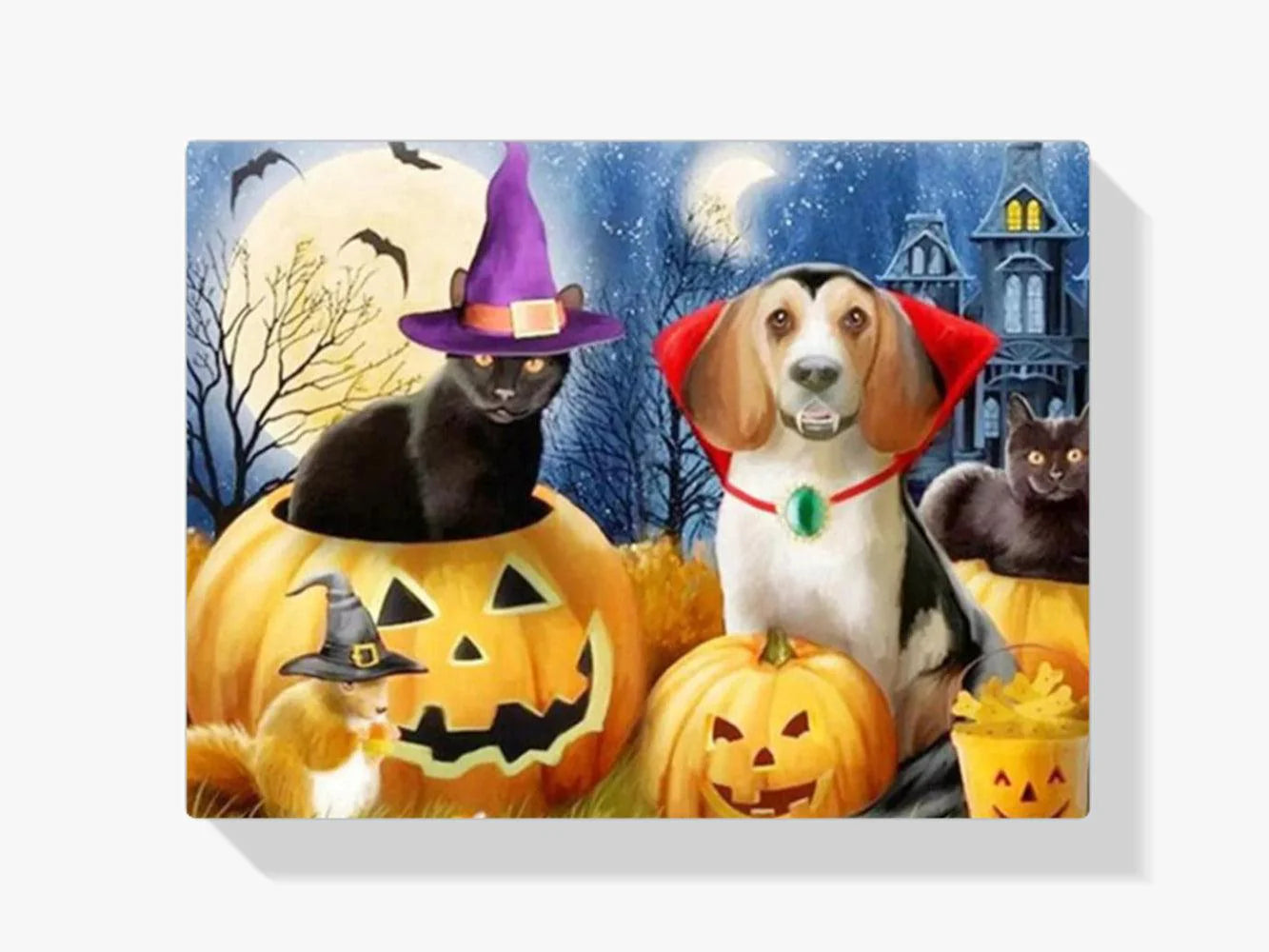 Diamond Painting Chat et Chien - SEOS Shop ®