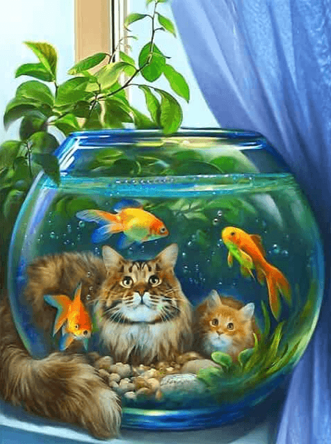 Diamond Painting Chat Avec Poisson - SEOS Shop ®