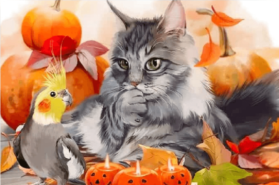 Diamond Painting Chat - SEOS Shop ®