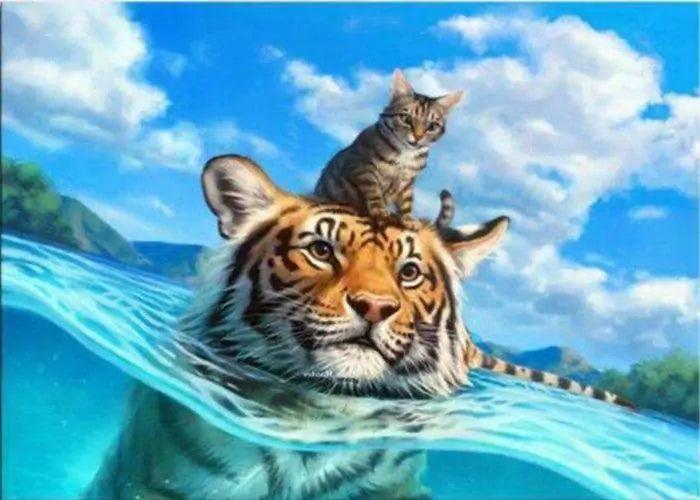 Diamond Painting - Chat et tigre dans la mer - SEOS®