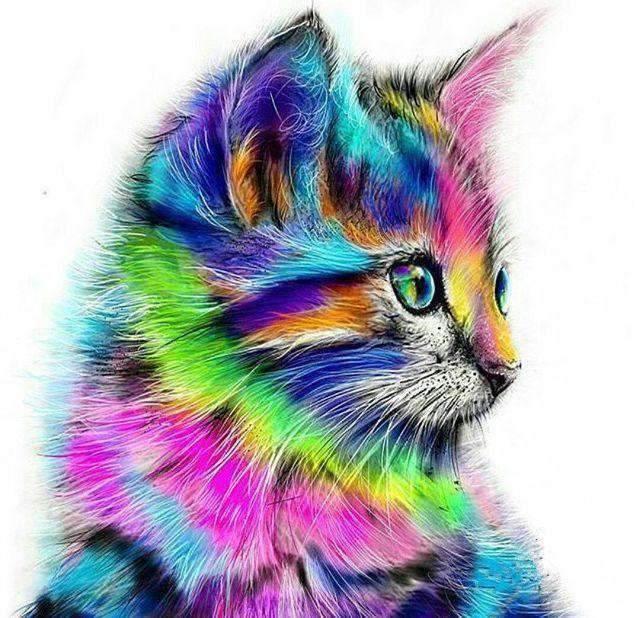 Diamond Painting - Chat en différentes couleurs - SEOS®