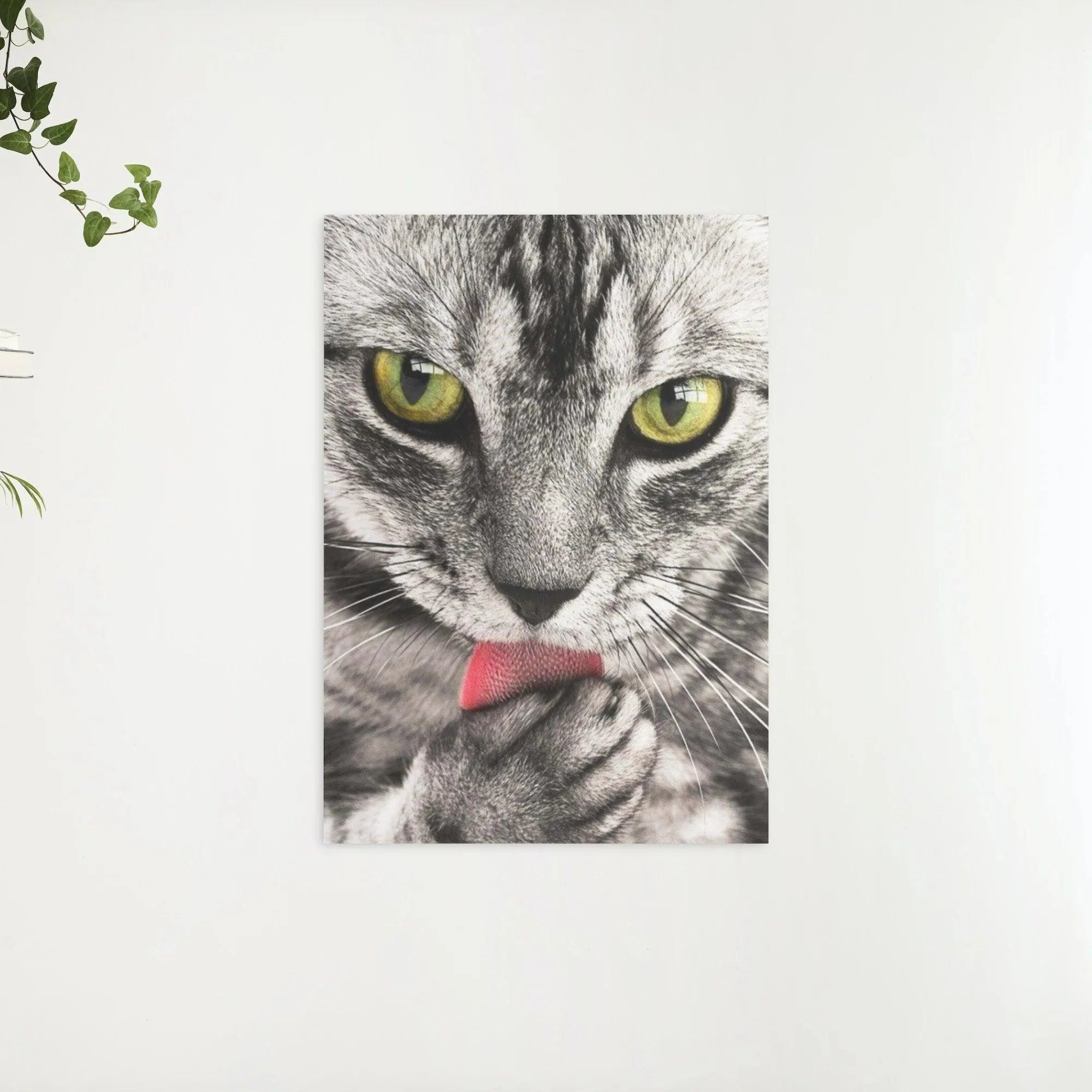 Diamond Painting Chat aime à la main - SEOS Shop ®