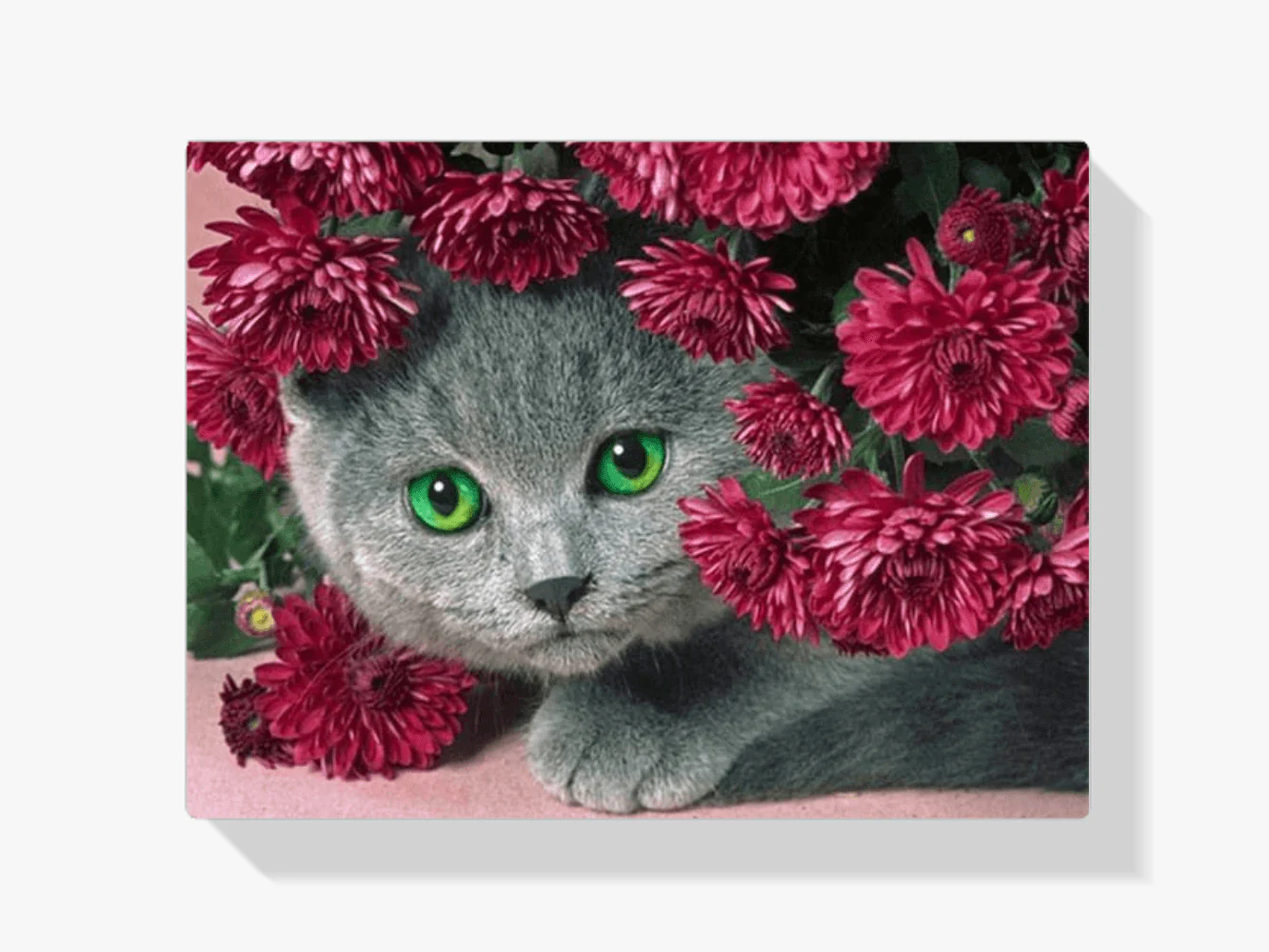 Diamond Painting Chat avec des fleurs - SEOS Shop ®