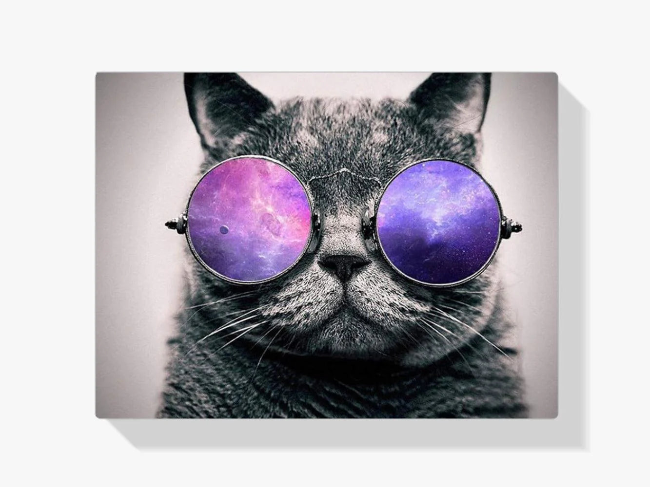 Diamond Painting Chat avec des lunettes violettes - SEOS Shop ®