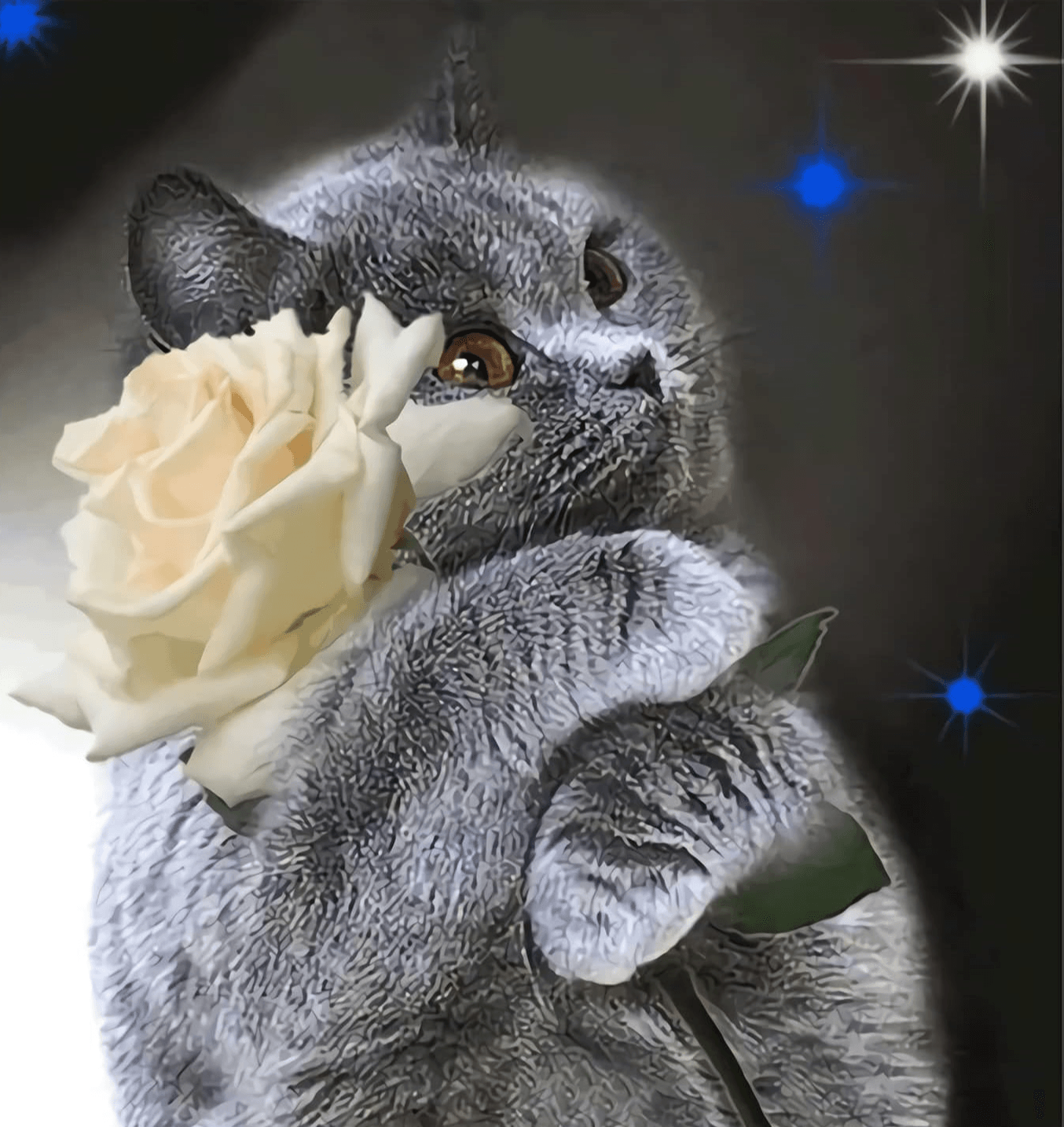 Diamond Painting Chat avec rose blanche - SEOS Shop ®