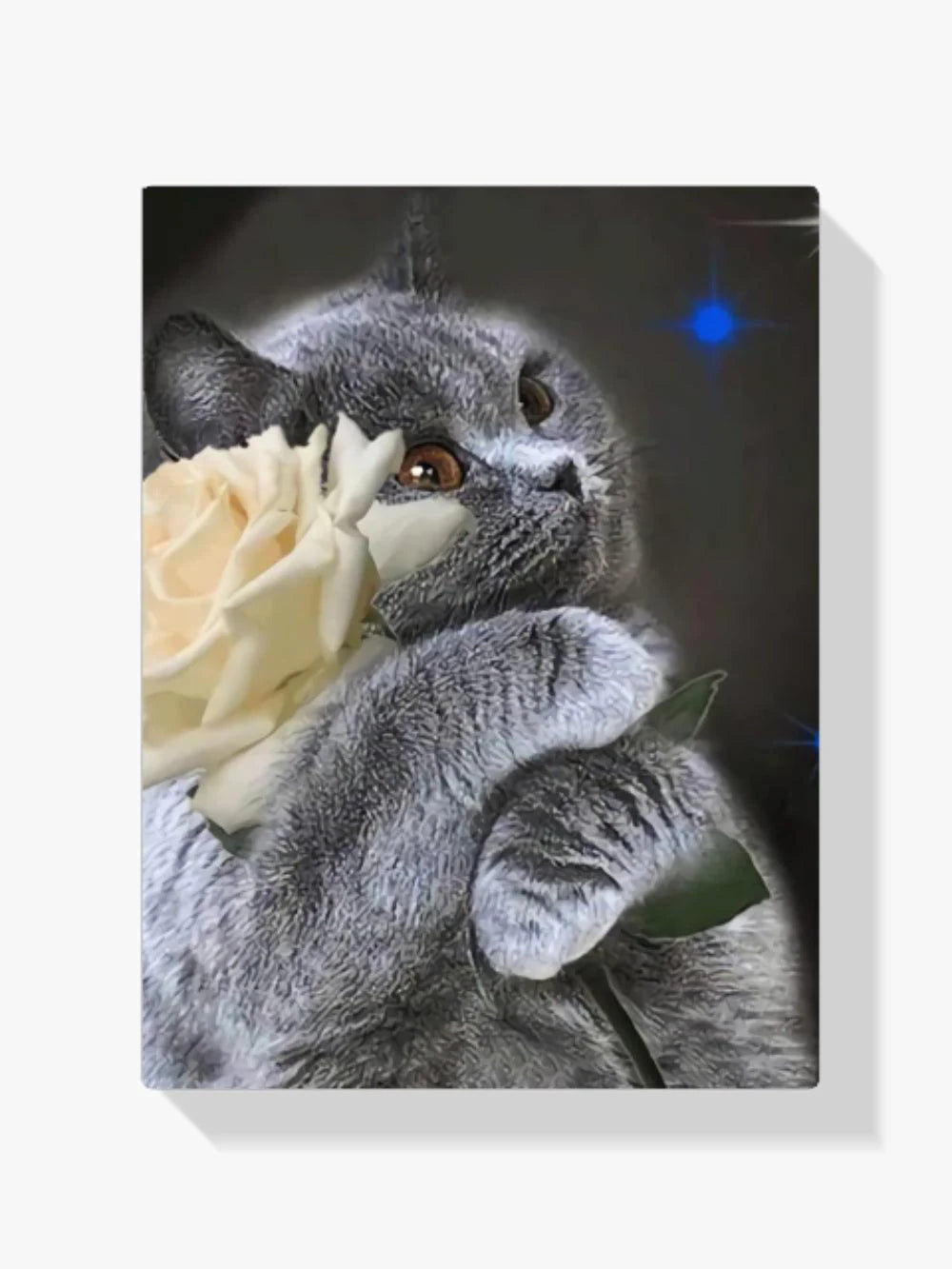 Diamond Painting Chat avec rose blanche - SEOS Shop ®