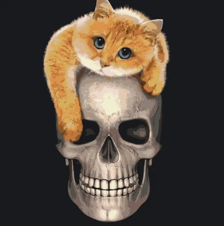 Diamond Painting - Chat sur le crâne - SEOS®