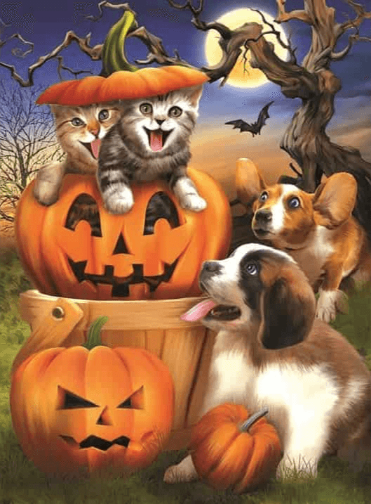 Diamond Painting Chat et Chien - SEOS Shop ®