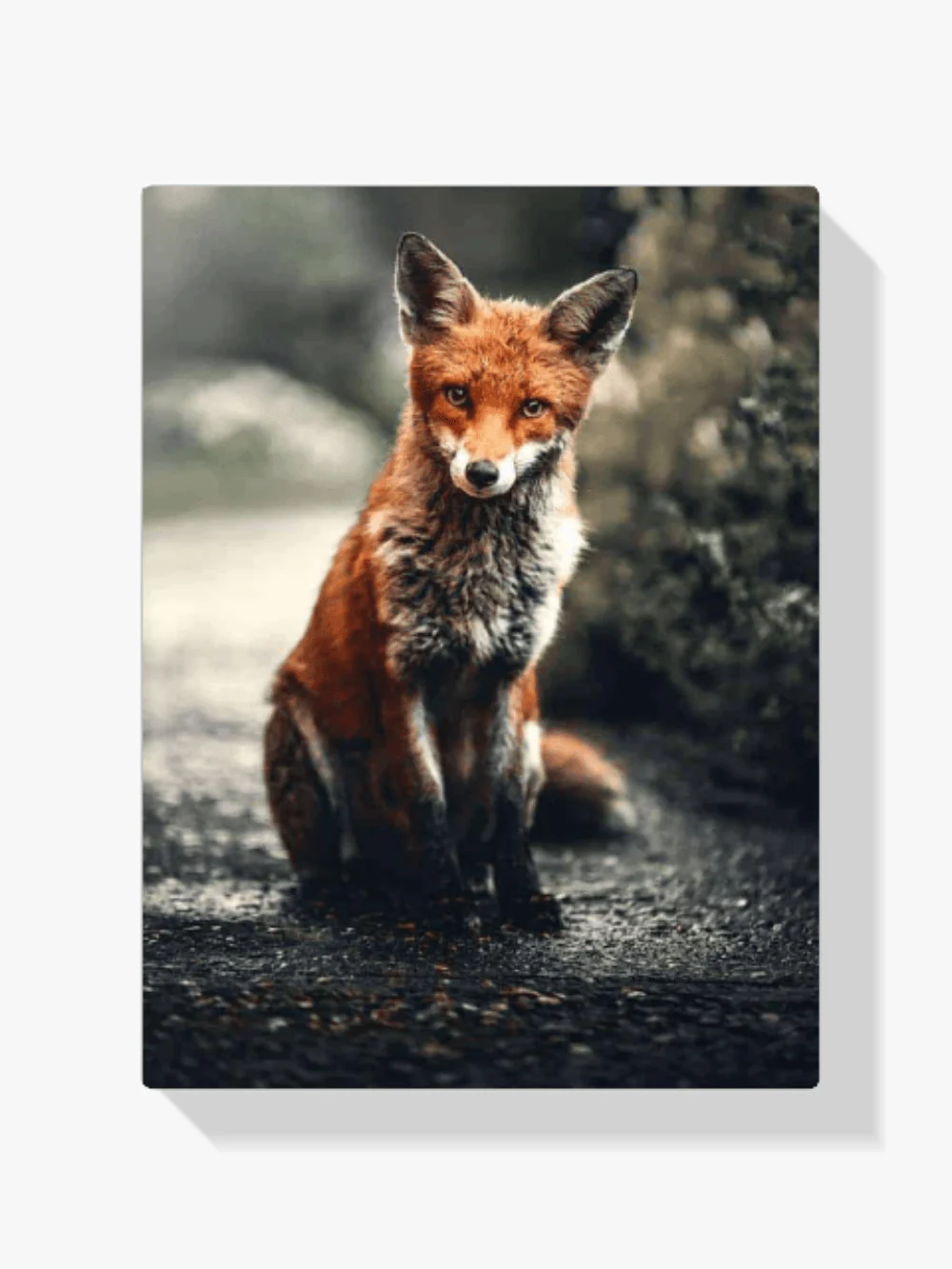 Diamond Painting Petit renard - SEOS Shop ®