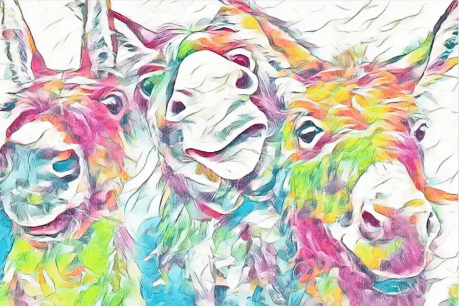 Diamond Painting ânes colorés - SEOS Shop ®