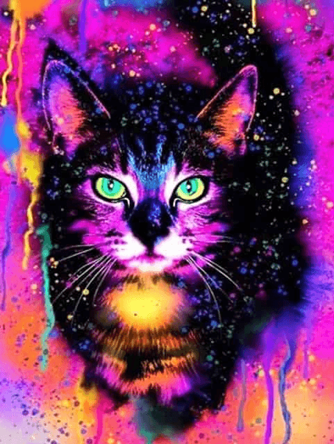 Diamond Painting Chat coloré - SEOS Shop ®