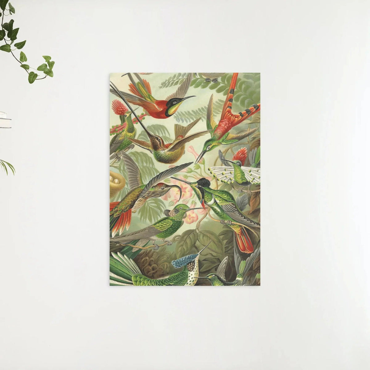 Diamond Painting Colibris - SEOS Shop ®