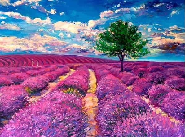 Diamond Painting - Champs de lavande de Provence - SEOS Shop ®
