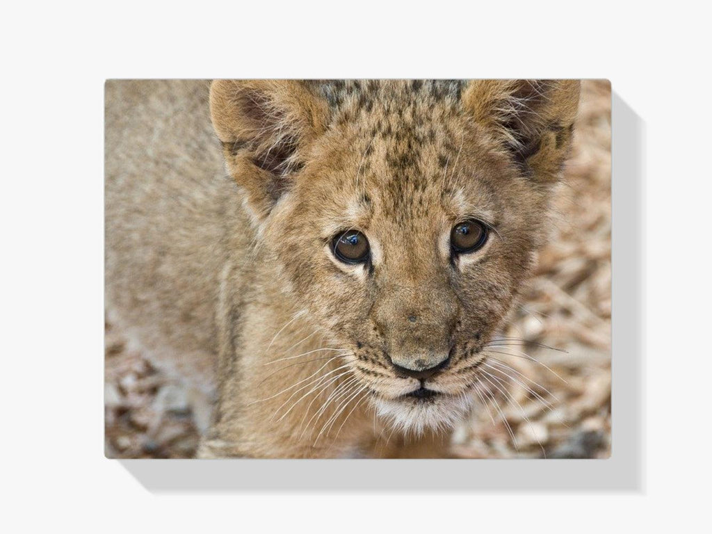Diamond Painting Bien-aimé chiot - SEOS Shop ®
