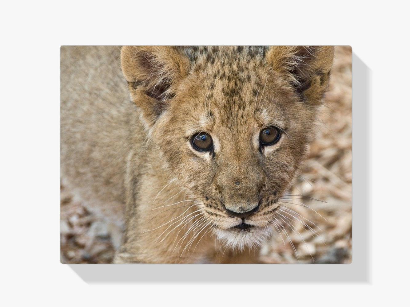 Diamond Painting Bien-aimé chiot - SEOS Shop ®
