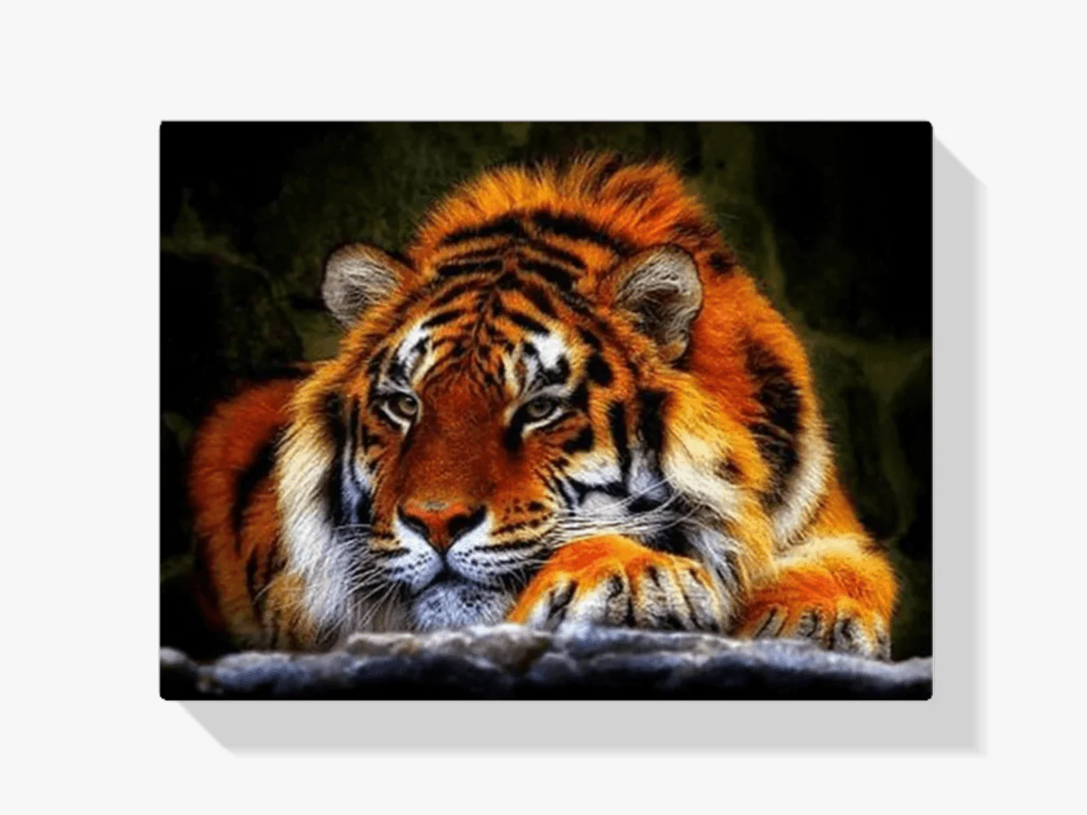 Diamond Painting Tigre Couché - SEOS Shop ®