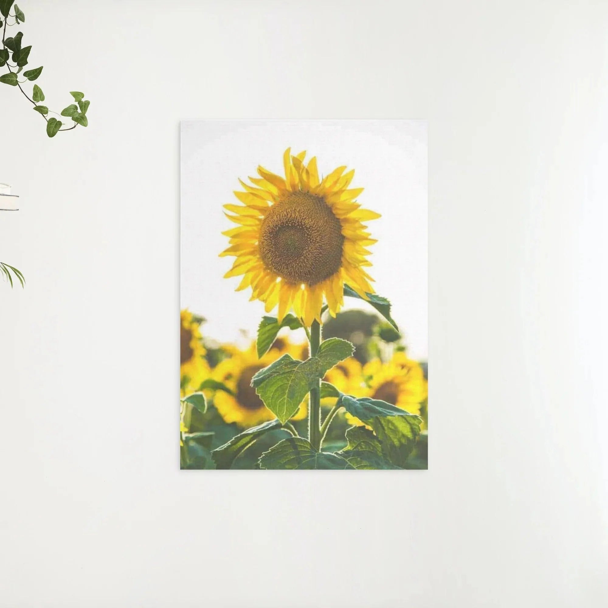 Diamond Painting Belle tournesol - SEOS Shop ®