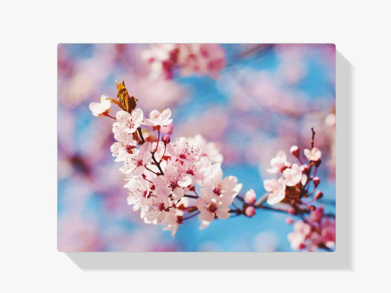 Diamond Painting Belle fleur - SEOS Shop ®