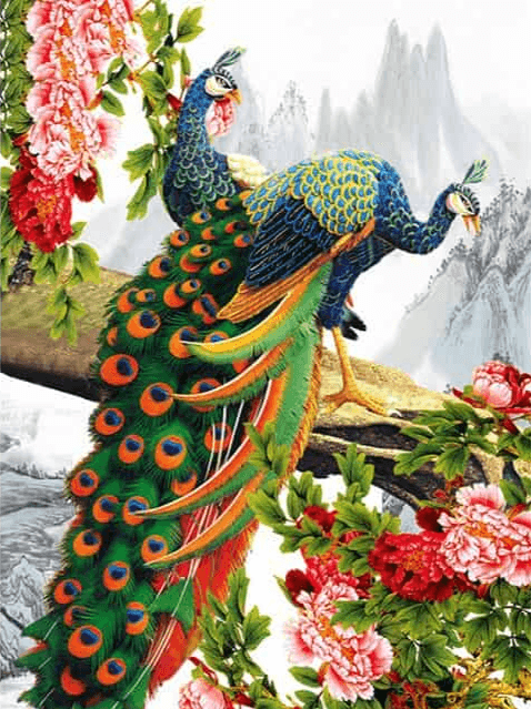 Diamond Painting Belle paon avec fleur - SEOS Shop ®