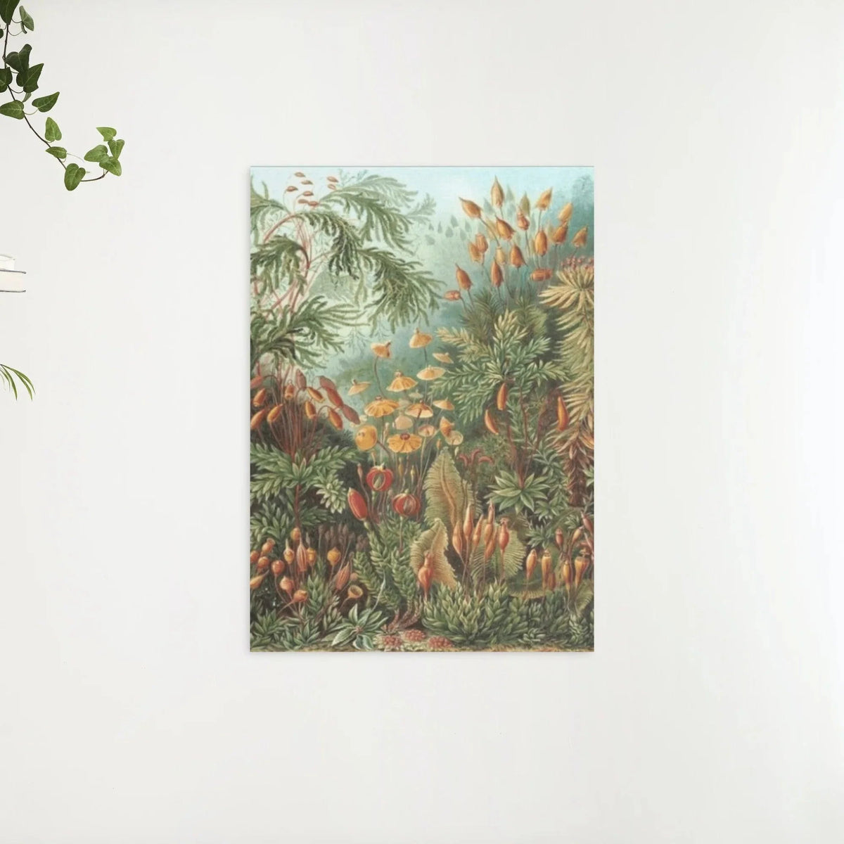 Diamond Painting Muscinae - SEOS Shop ®