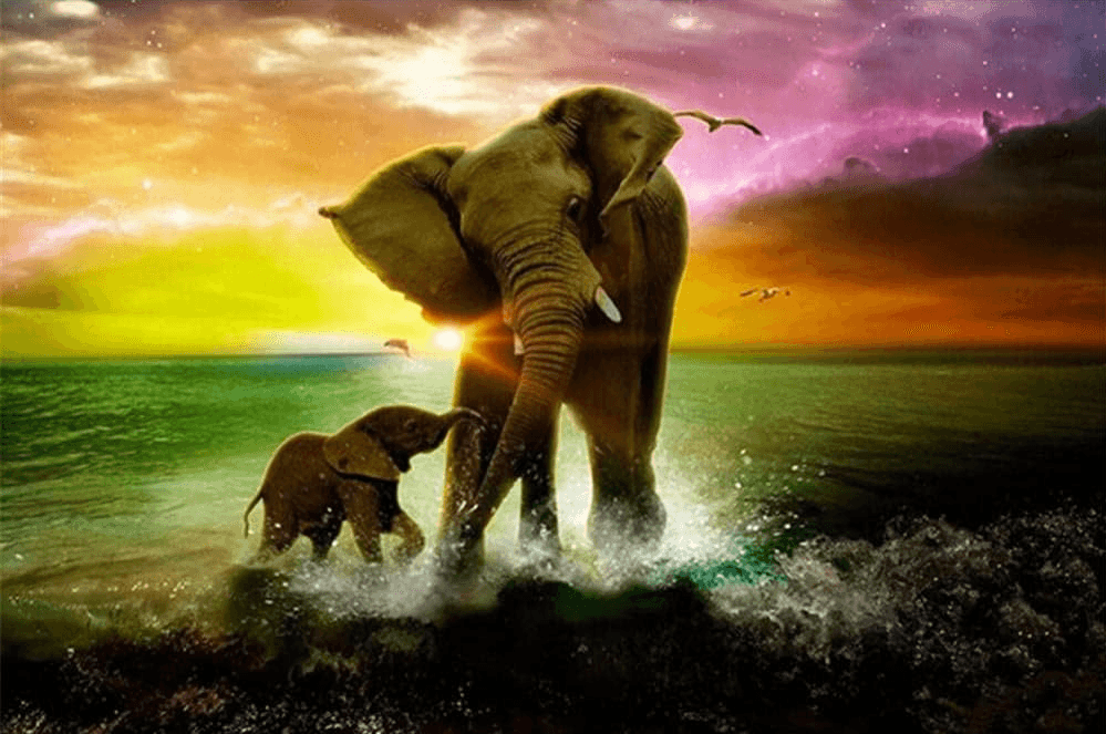 Diamond Painting Éléphant avec veau - SEOS Shop®