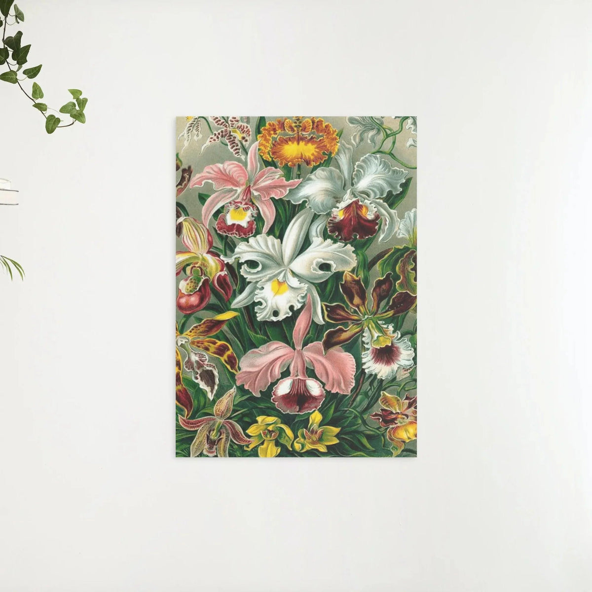 Diamond Painting Orchidée - SEOS Shop ®