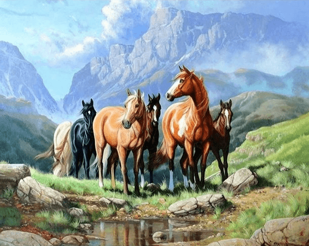 Diamond Painting Chevaux dans un champ - SEOS Shop ®