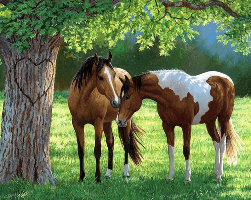 Diamond Painting Chevaux sous un arbre - SEOS Shop ®
